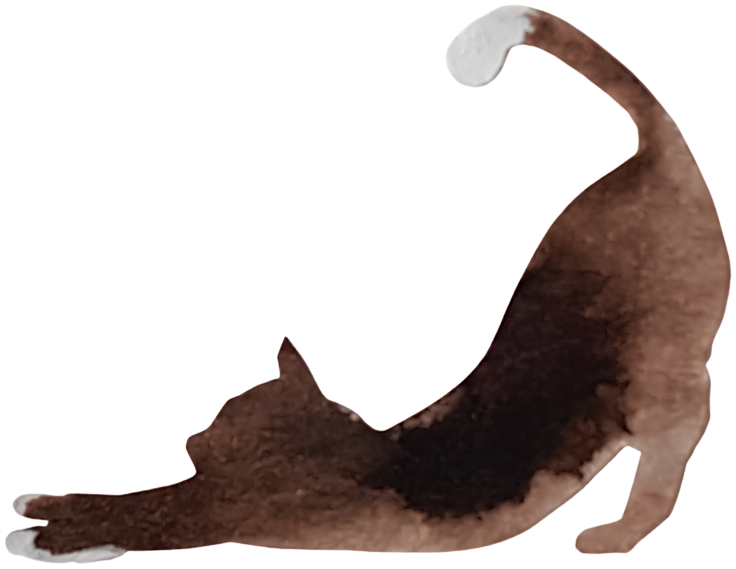 Illustration aus dem Buch: die Katze streckt sich