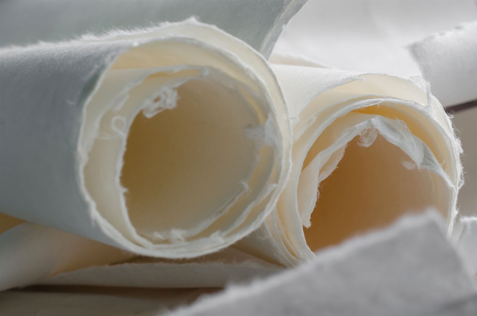 Zwei aufgerollte Bögen Büttenpapier